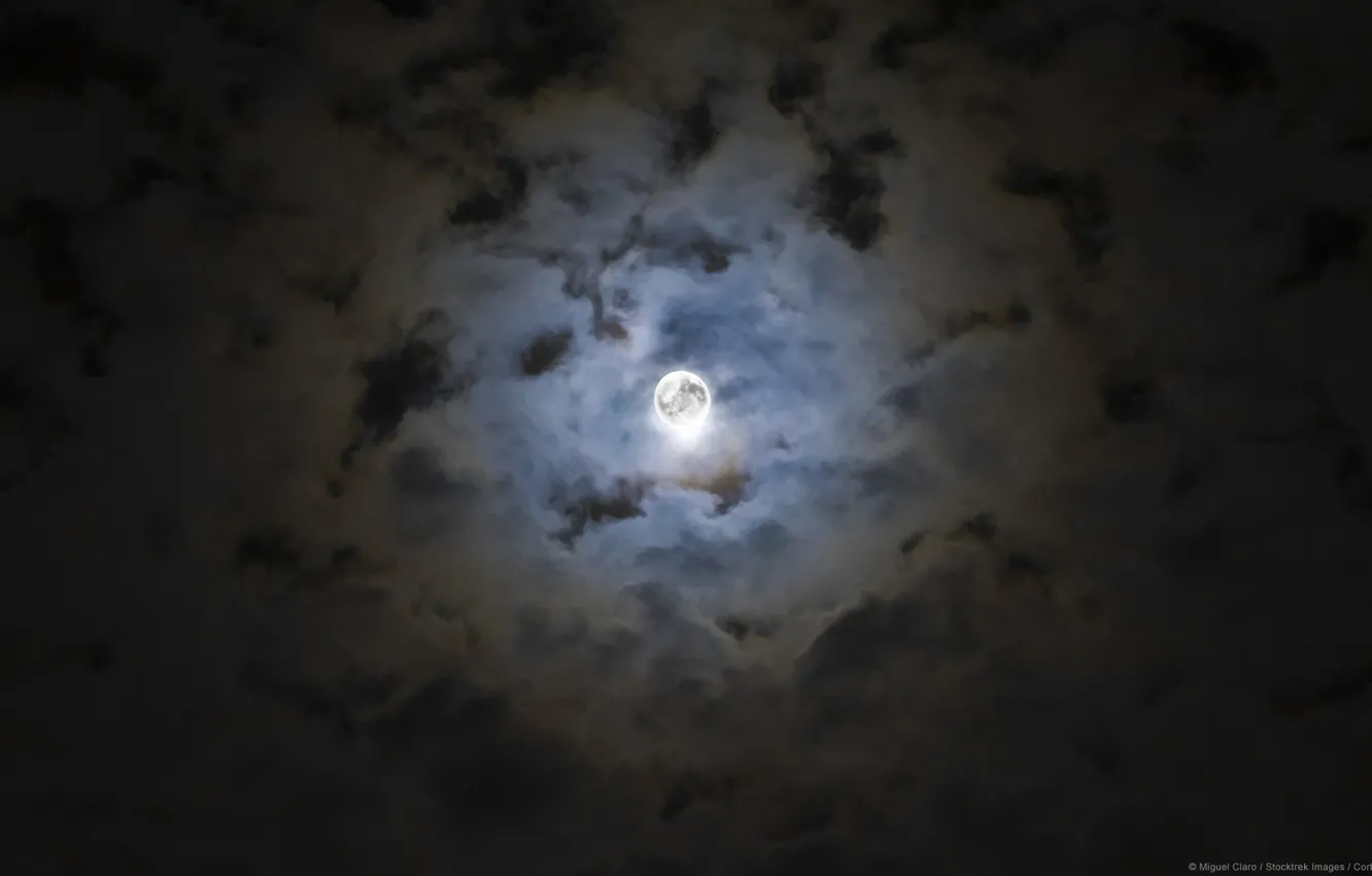 Photo wallpaper the sky, clouds, night, the moon