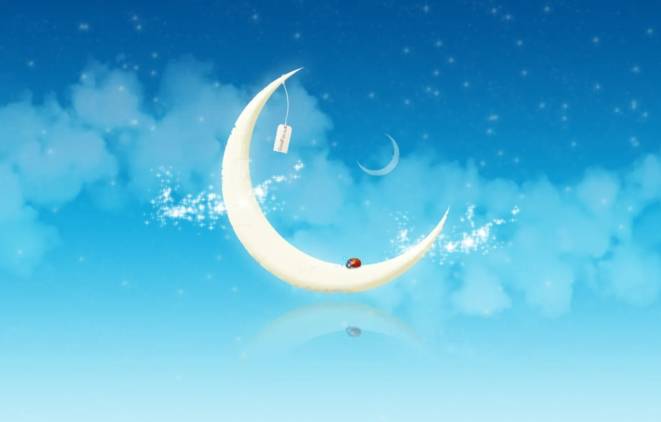 Photo wallpaper the moon, beetle, cheese, 151