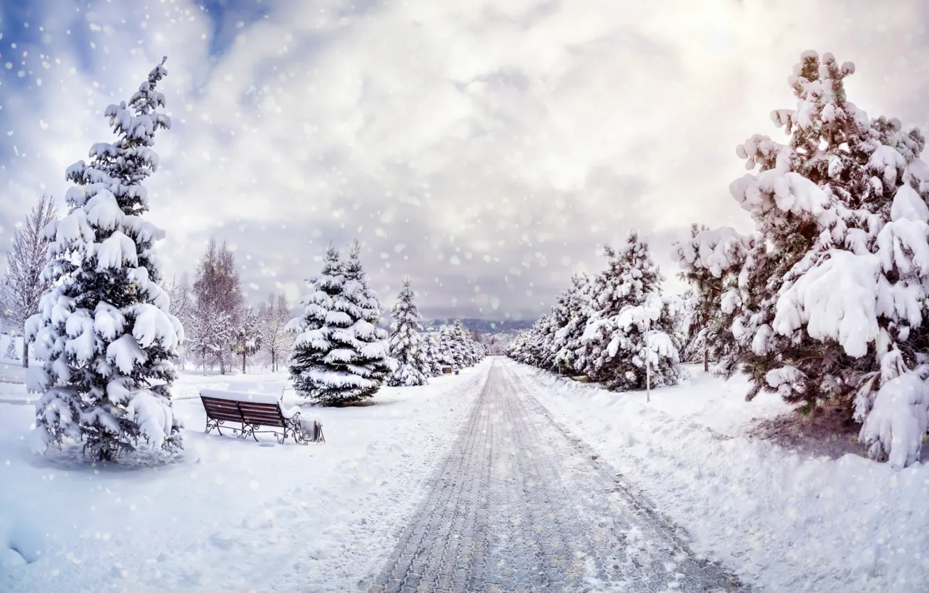 Photo wallpaper winter, the sky, snow, trees, landscape, nature