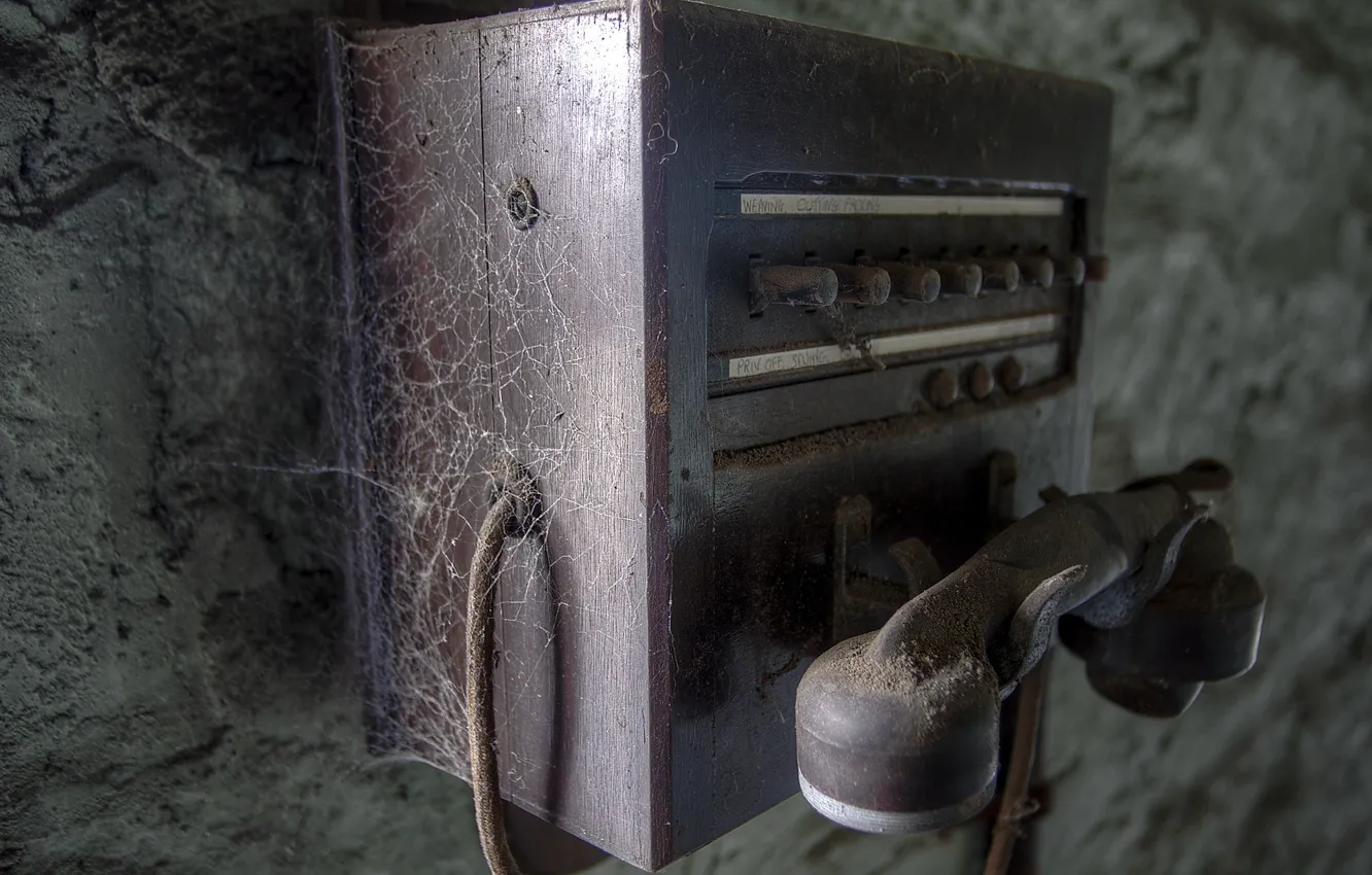 Photo wallpaper web, dust, phone