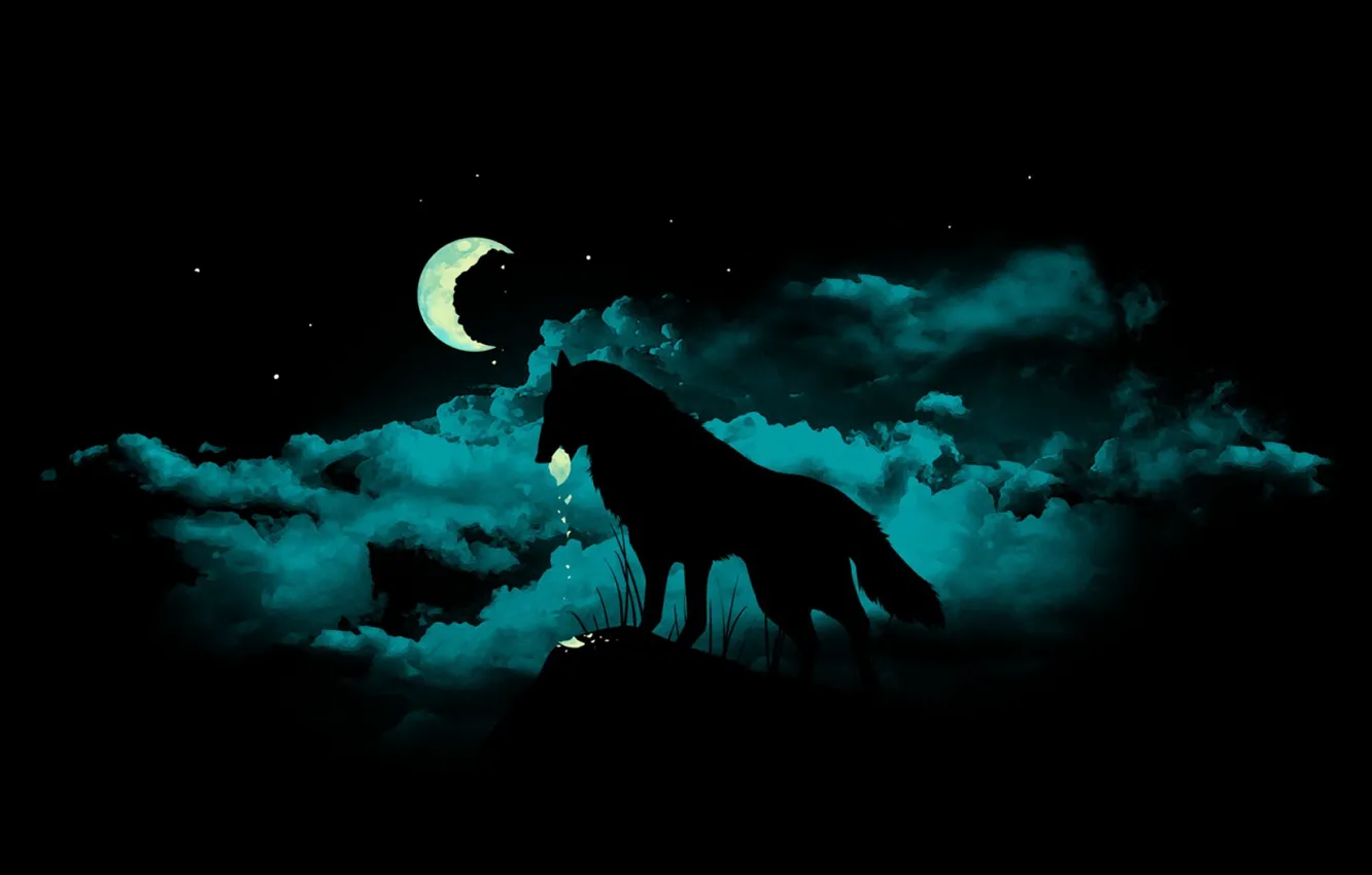 Photo wallpaper fragments, darkness, the moon, wolf, werewolf, werevolf, mater, dark night