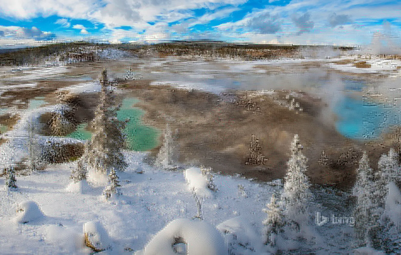 Photo wallpaper winter, snow, landscape, spruce, Wyoming, Yellowstone national Park, geyser, Norris Geyser Basin