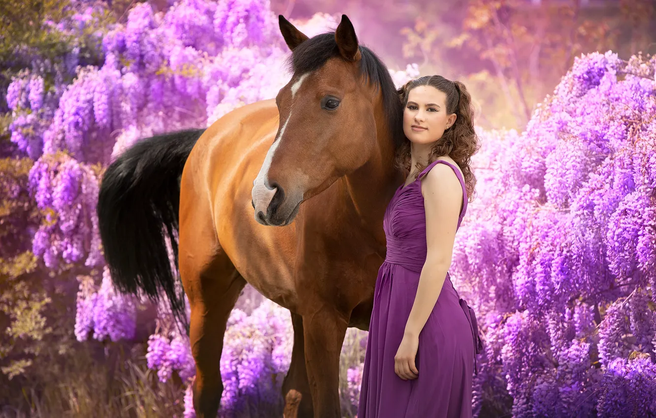 Photo wallpaper girl, flowers, horse, horse, Wisteria, Wisteria