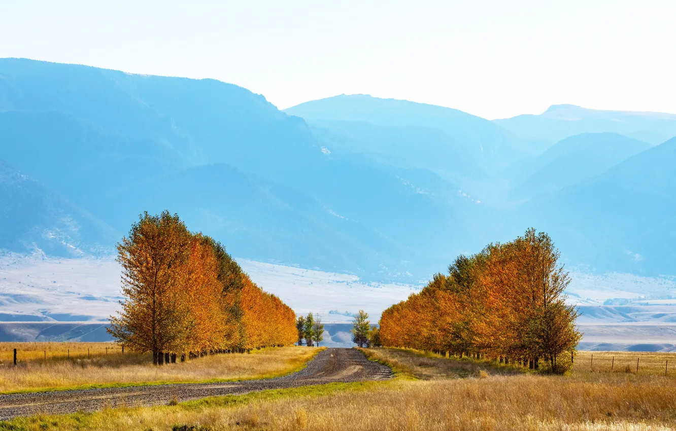 Photo wallpaper scenic, orange, photograph, montana, nobody, ennis, valley garden ranch