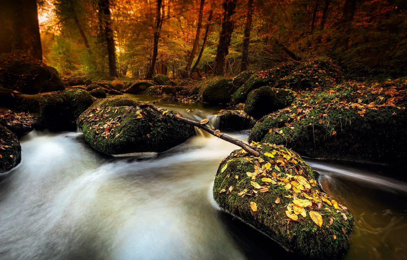 Photo wallpaper autumn, river, stones, moss, stream