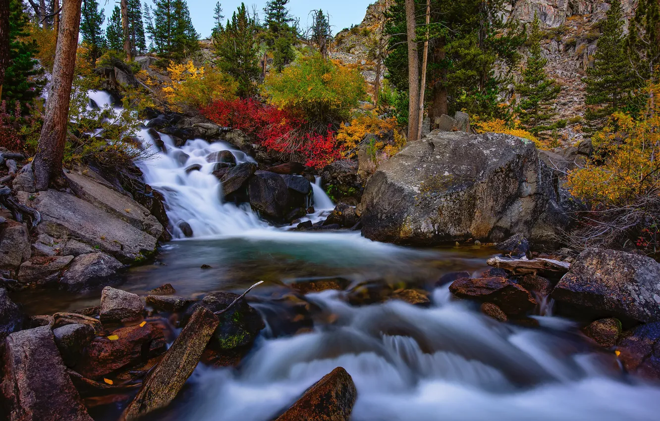 Photo wallpaper autumn, forest, landscape, nature, river, stones, waterfall, CA