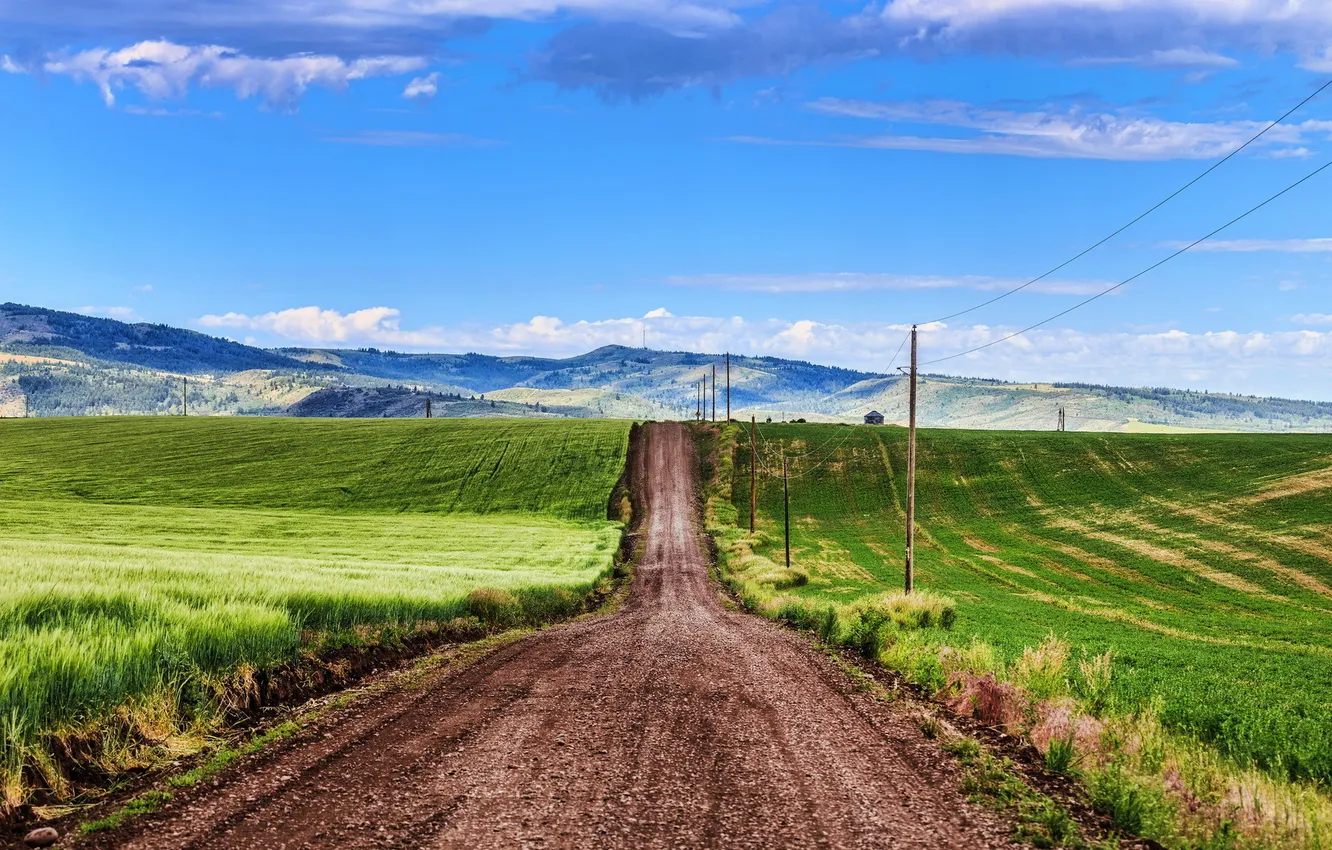 Photo wallpaper road, field, landscape