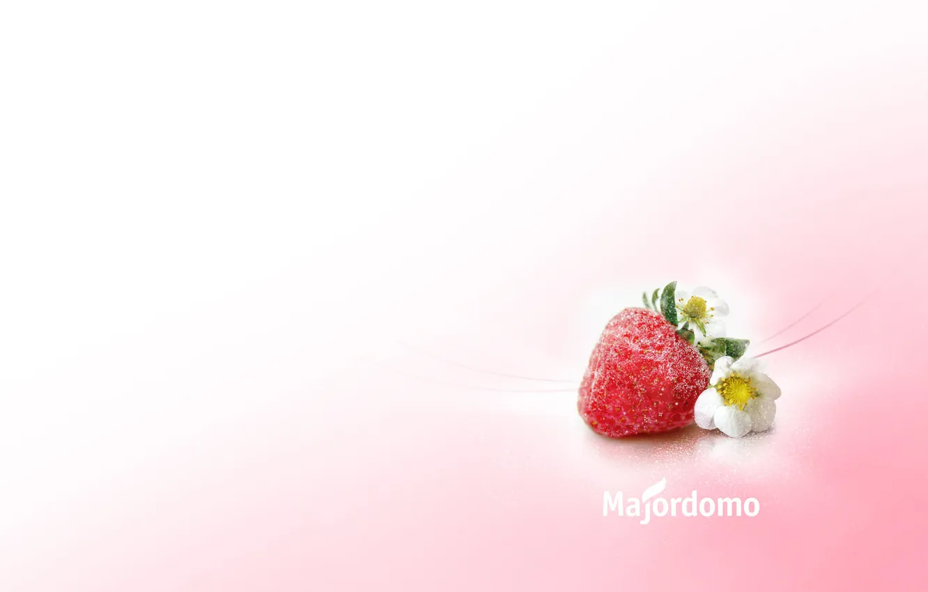 Photo wallpaper gift, strawberry, majordomo