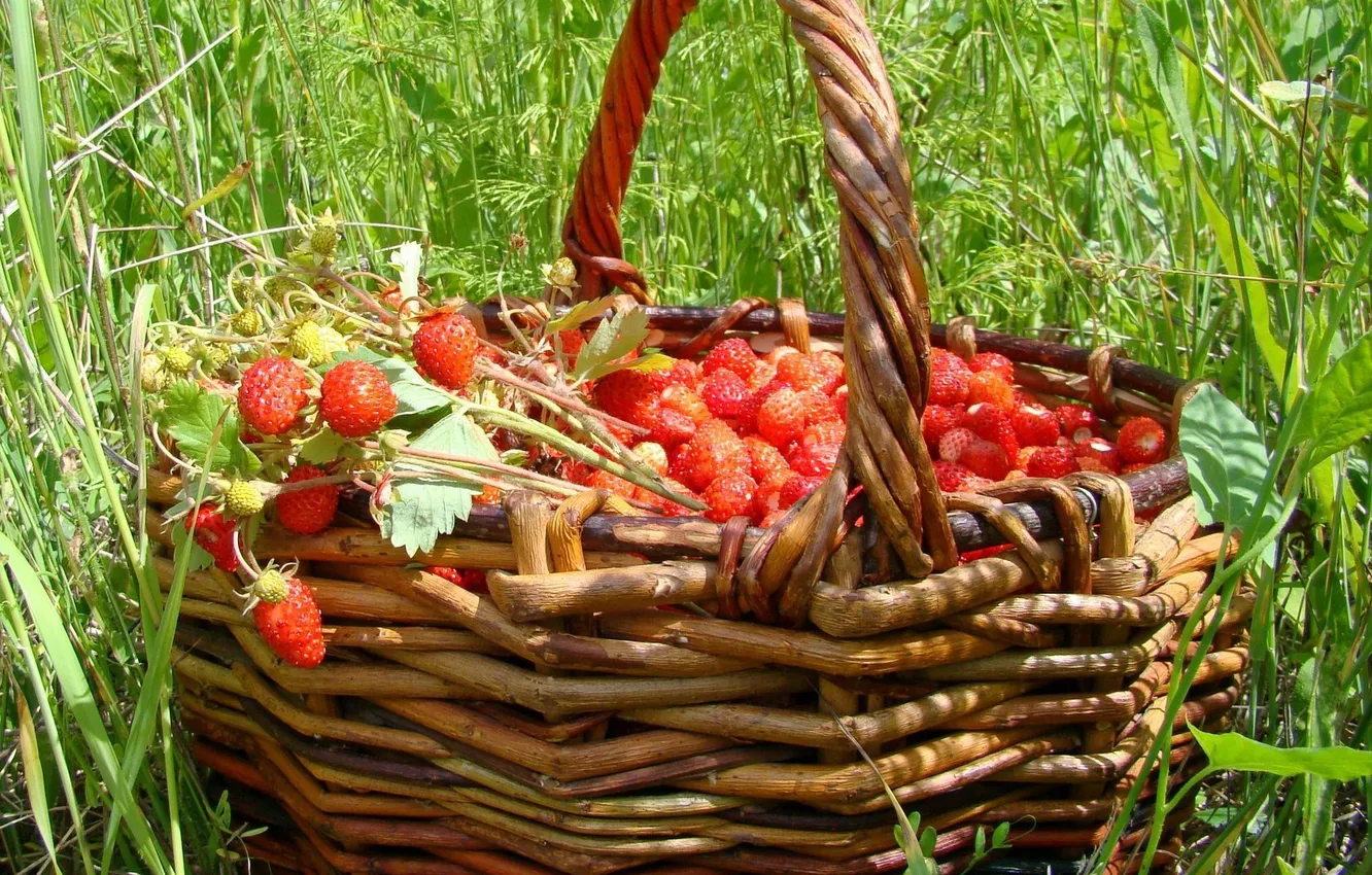 Photo wallpaper summer, grass, berries, basket, strawberries