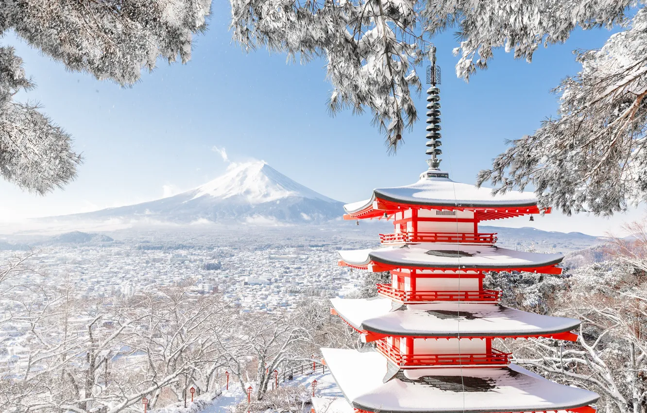 Photo wallpaper winter, snow, trees, branches, mountain, the volcano, Japan, Fuji