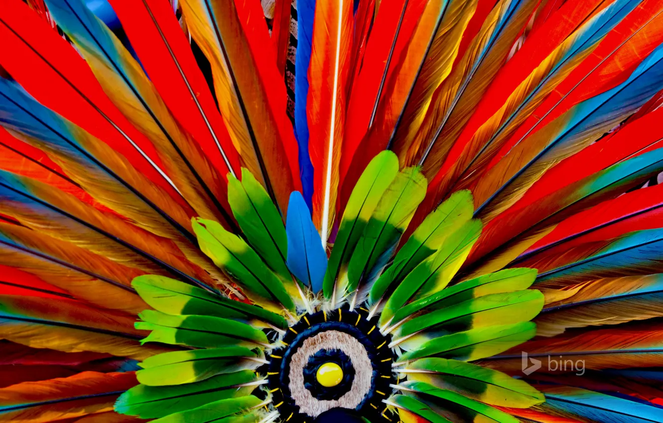 Photo wallpaper macro, paint, feathers, the Aztecs, headdress