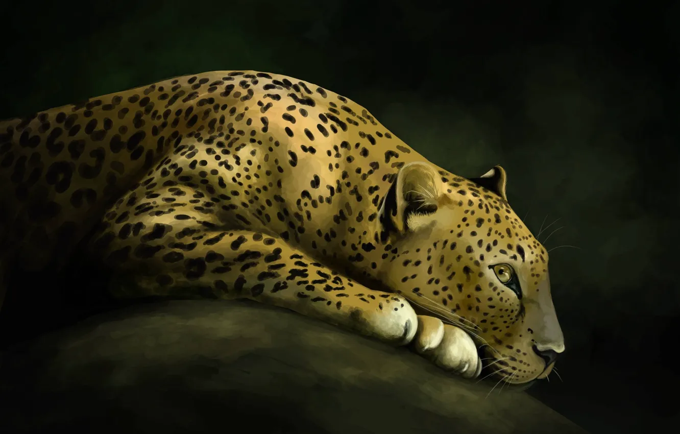 Photo wallpaper cat, stone, predator, art, leopard, wild