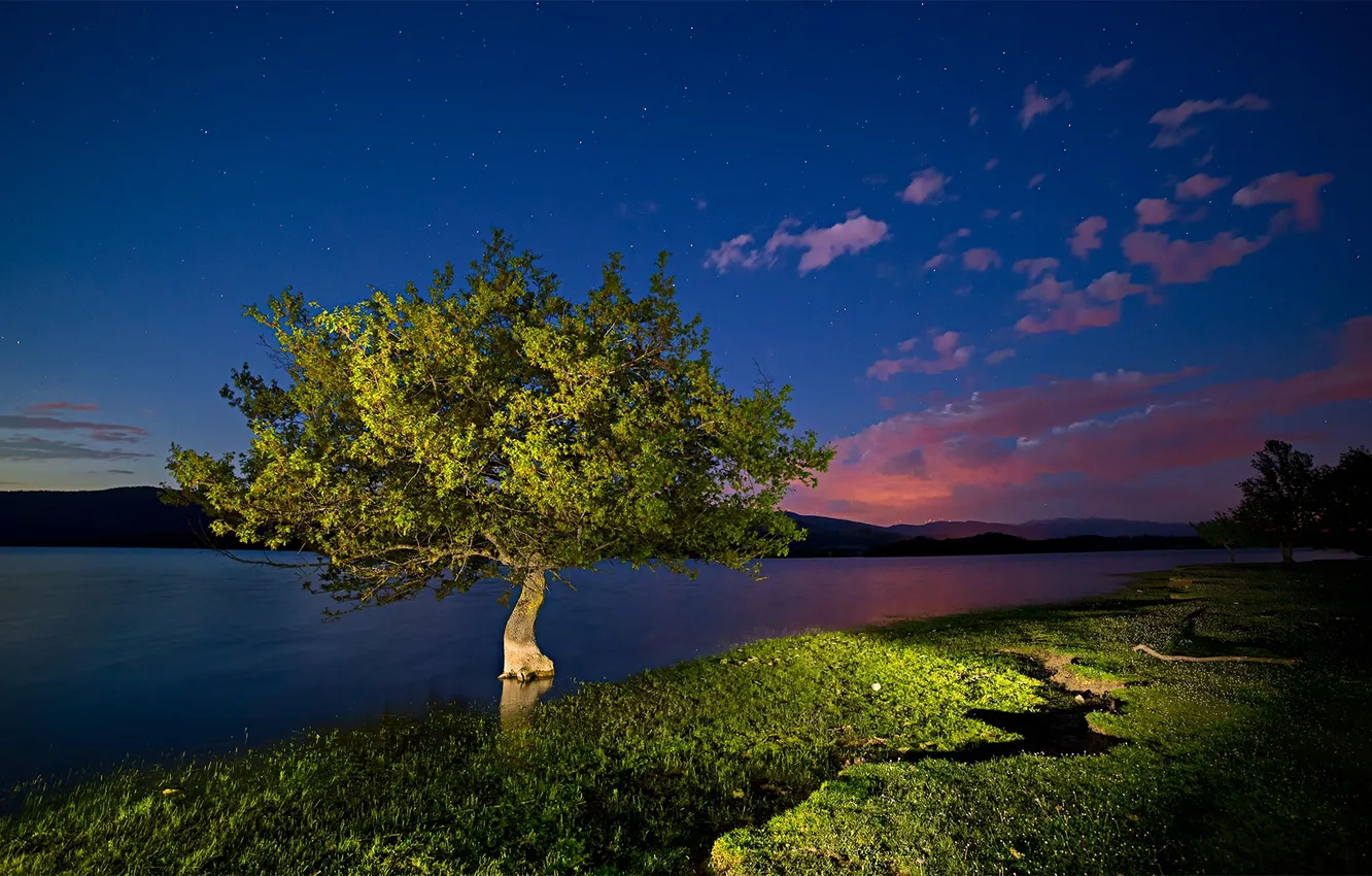 Photo wallpaper light, trees, mountains, night, lake