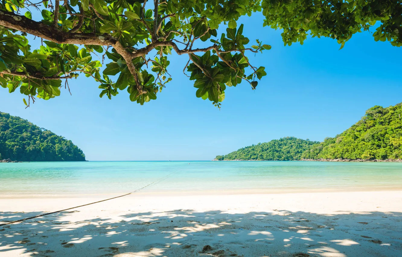 Photo wallpaper sand, sea, wave, beach, summer, the sky, palm trees, shore
