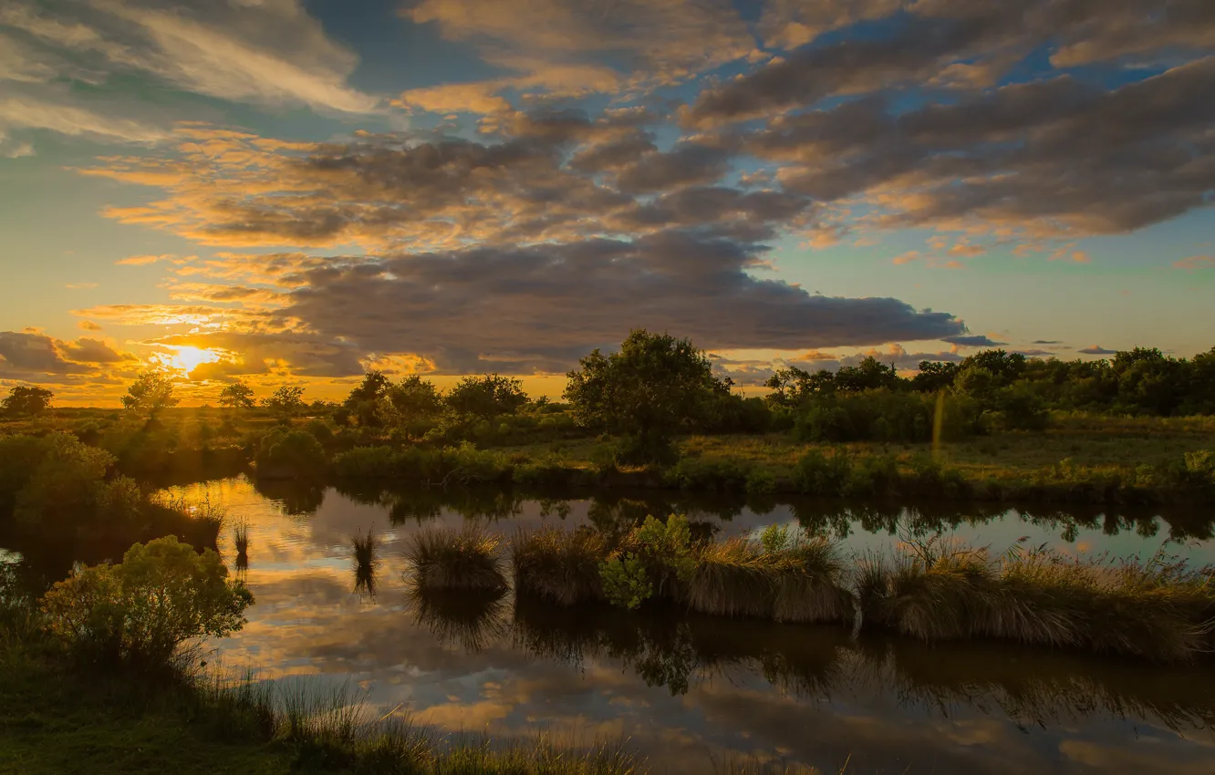 Photo wallpaper trees, sunset, lake, reflection