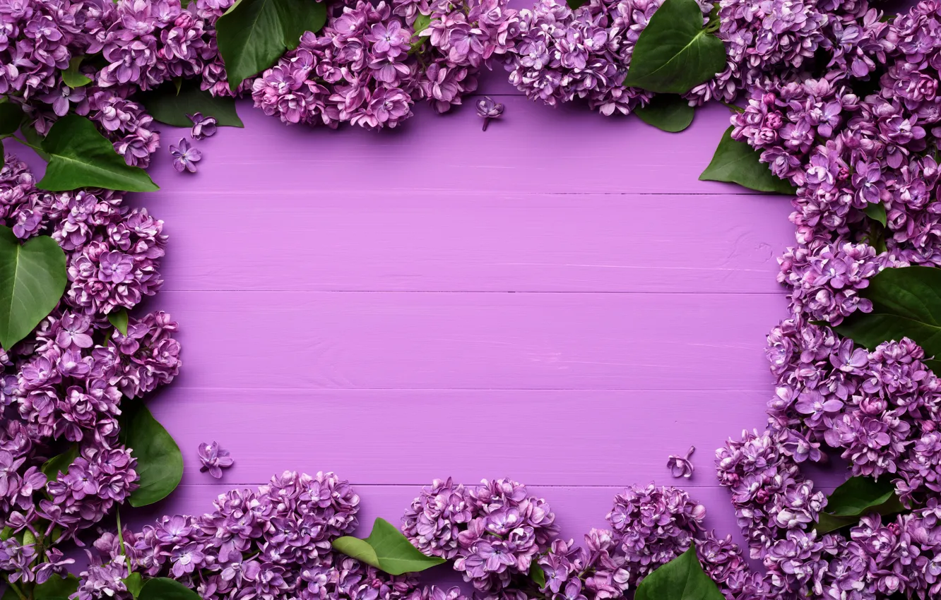 Photo wallpaper flowers, spring, frame, flowers, lilac, background, spring, purple