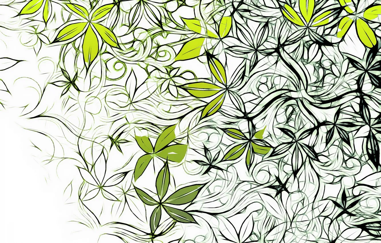 Photo wallpaper flowers, pattern, vector, texture, design, art, background, pattern