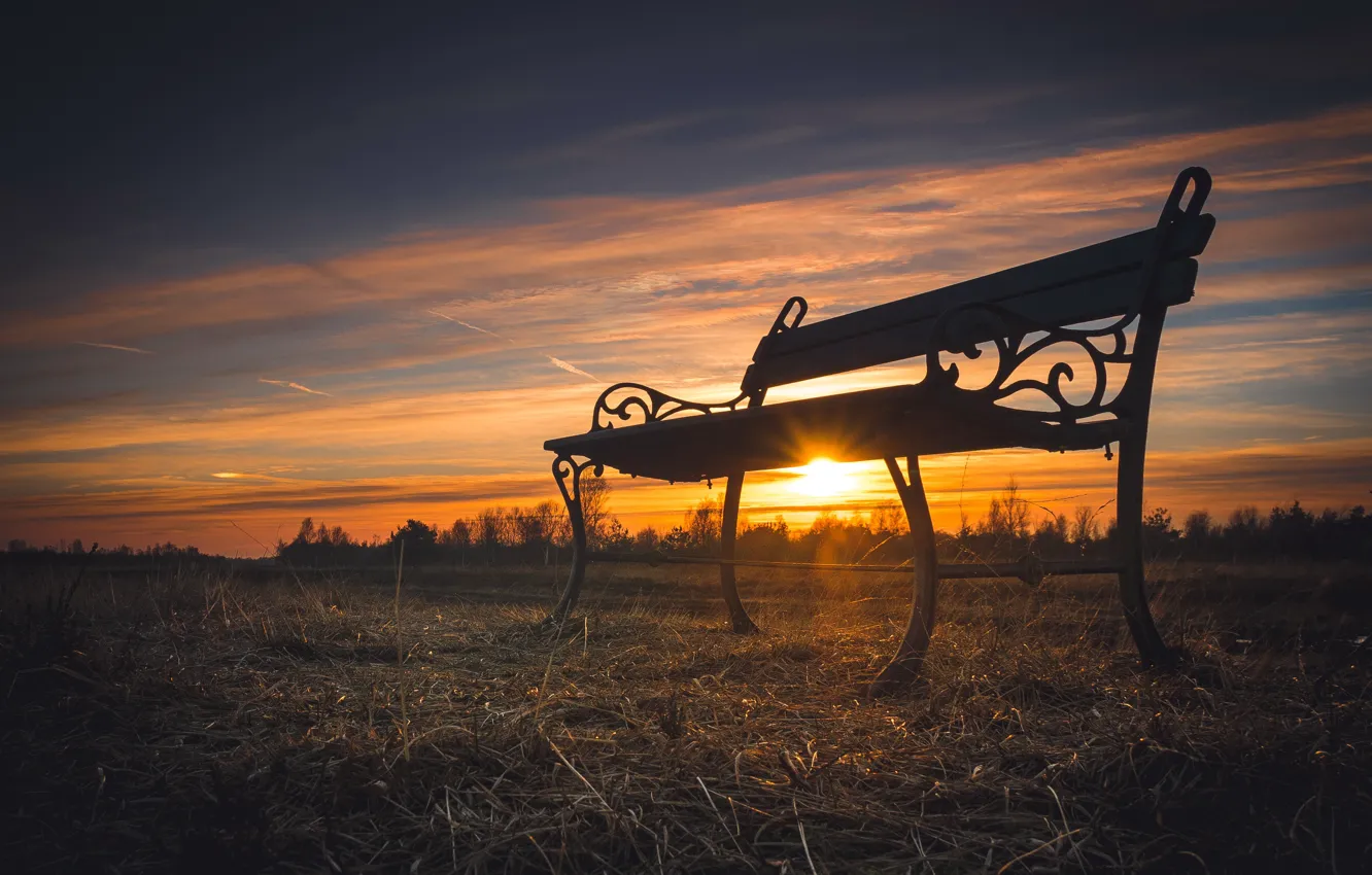 Photo wallpaper sunset, nature, bench