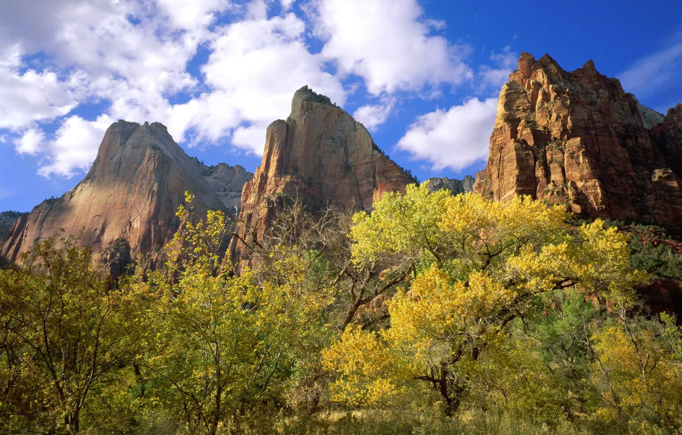 Photo wallpaper Utah, Three Of The Patriarch, Zion national Park