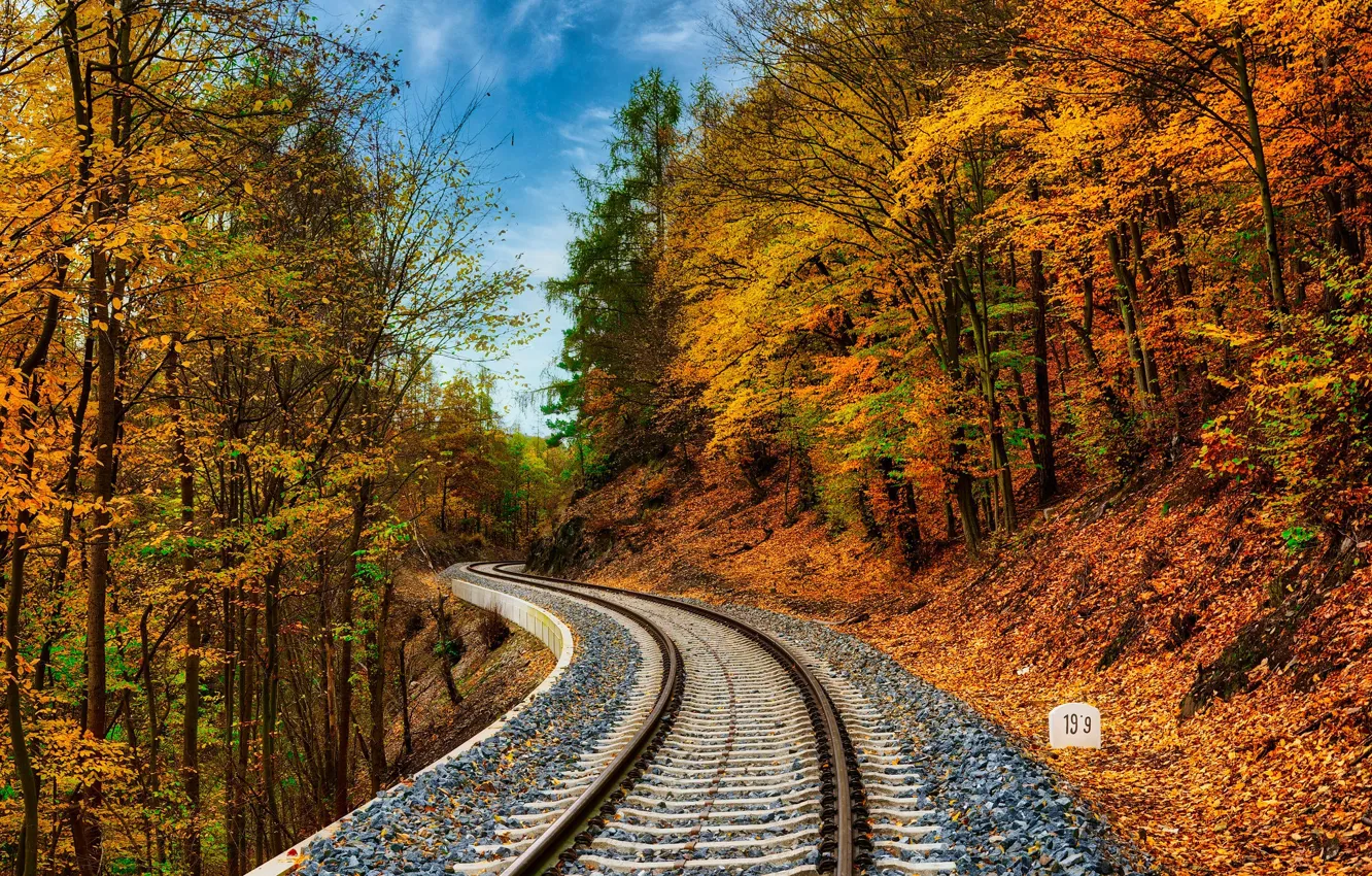 Photo wallpaper autumn, forest, railroad