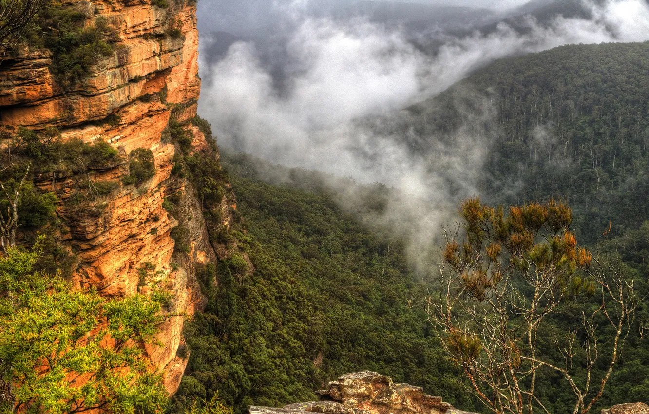 Photo wallpaper clouds, trees, mountains, stones, rocks, Australia, Sydney, the bushes