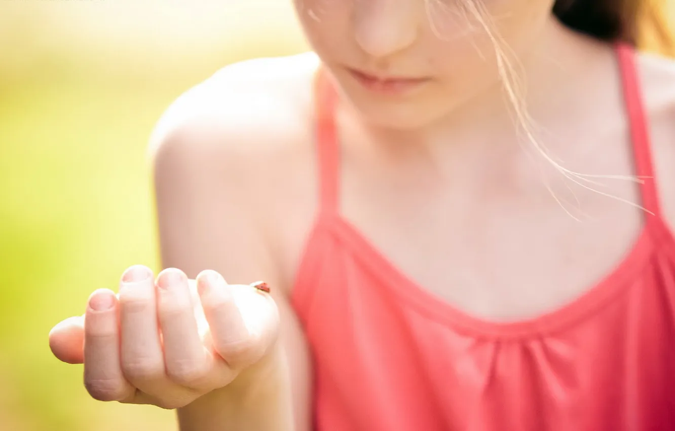 Photo wallpaper light, mood, ladybug, girl
