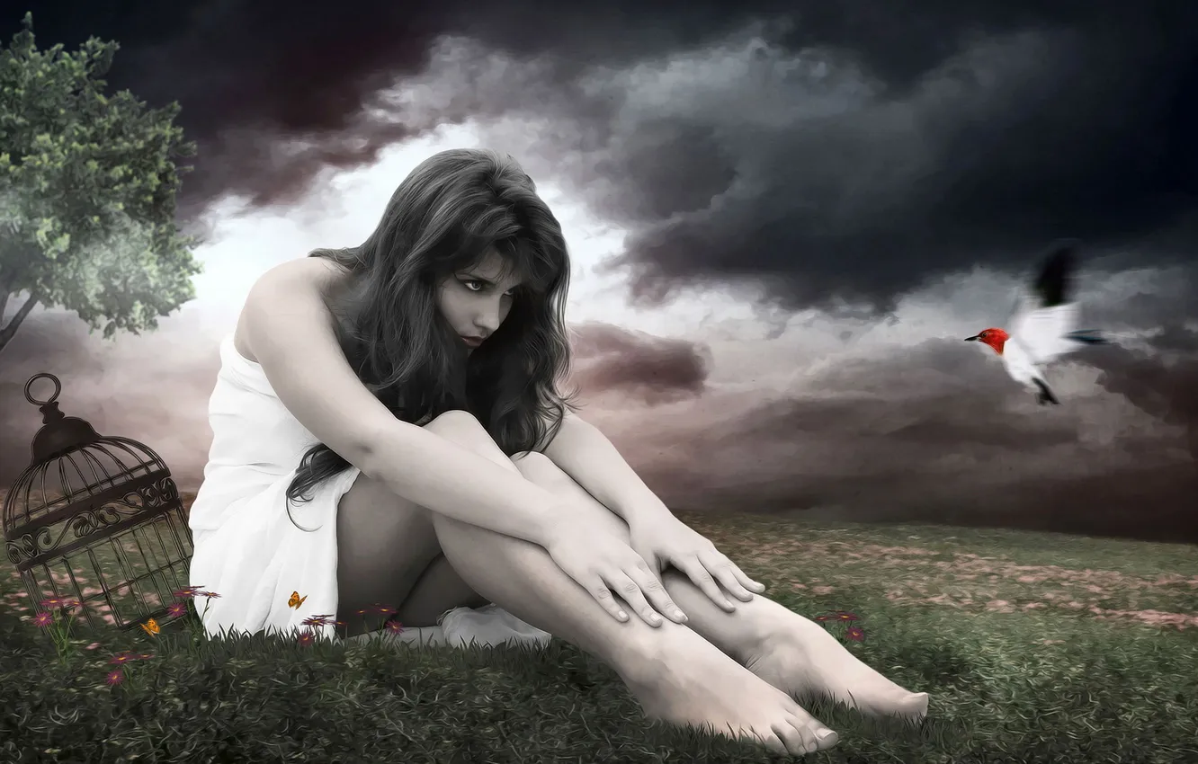 Photo wallpaper girl, bird, photomanipulation