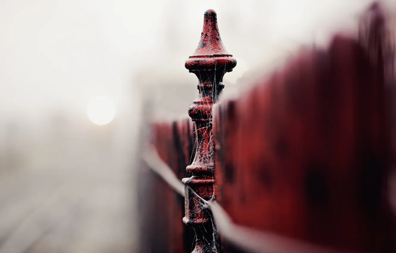 Photo wallpaper macro, background, the fence