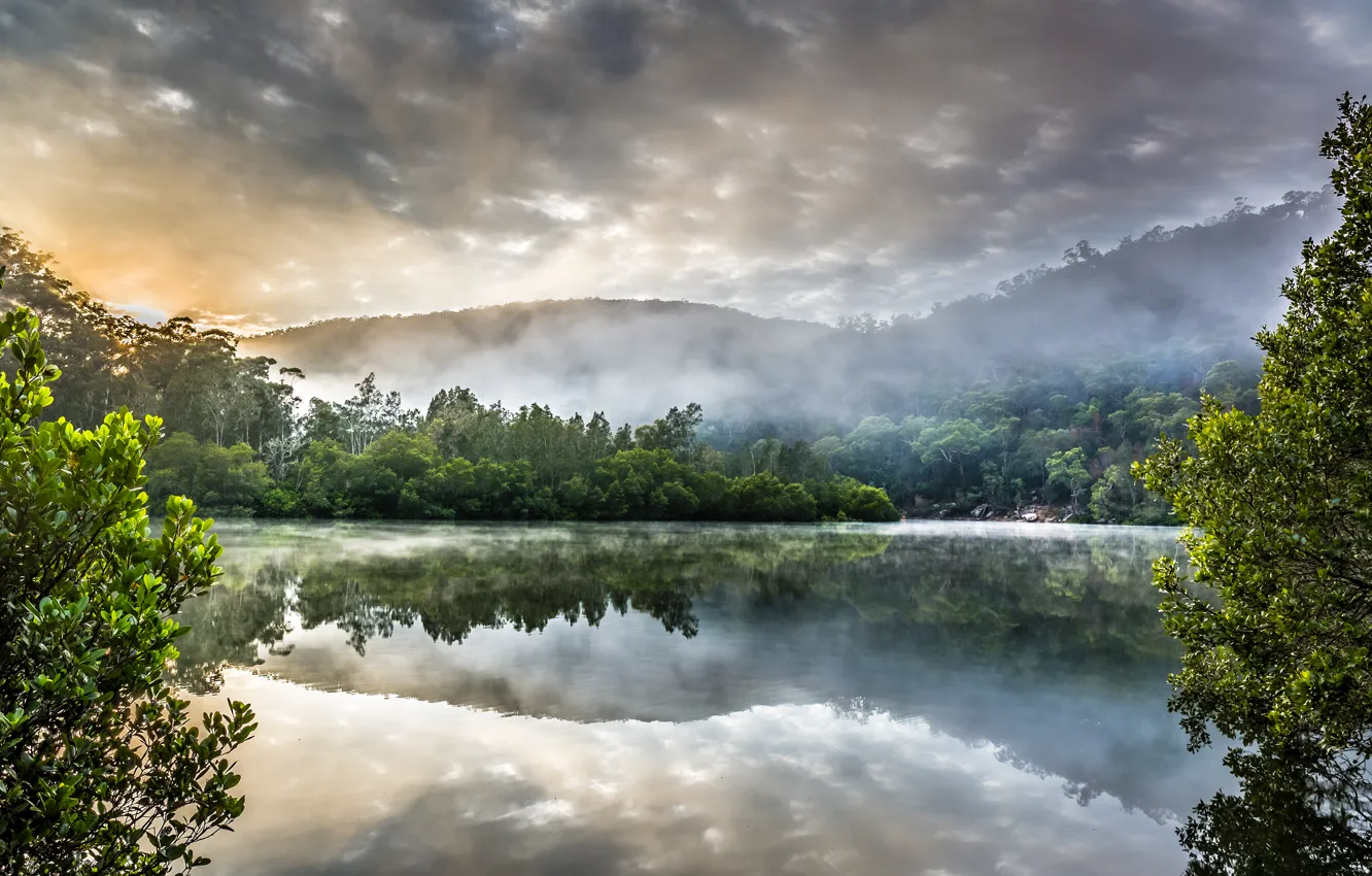 Photo wallpaper forest, clouds, nature, lake, Australia, Sydney, Berowra Creek