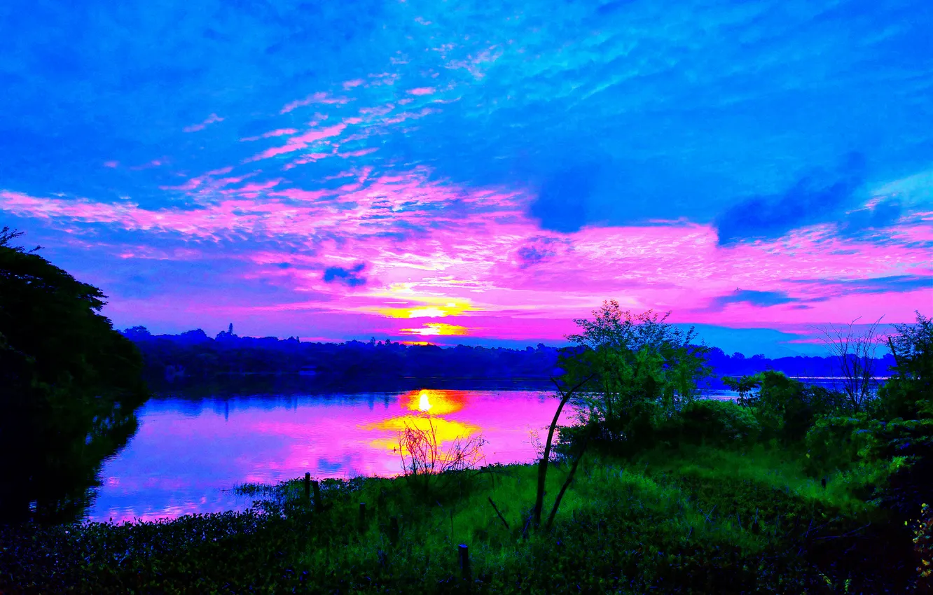 Photo wallpaper grass, sky, trees, water, clouds, lake, morning, sun
