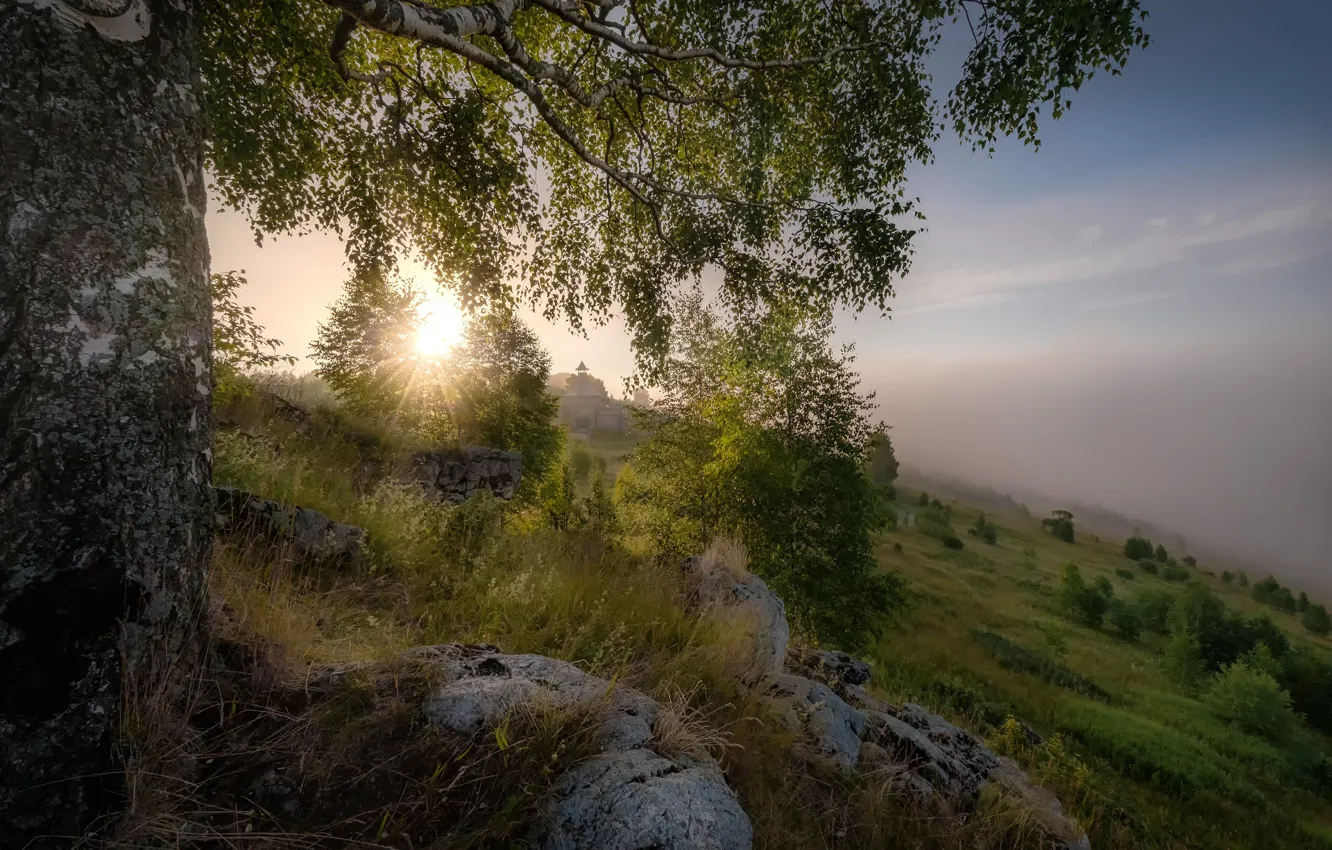 Photo wallpaper grass, landscape, nature, stones, tree, dawn, morning, slope
