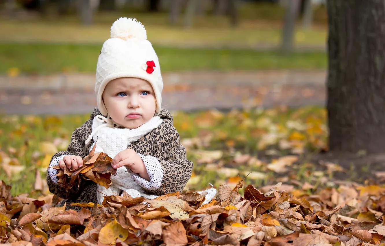Photo wallpaper autumn, Park, mood, girl