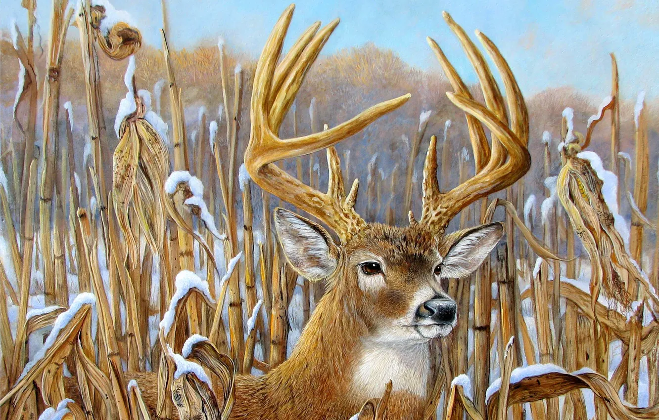 Photo wallpaper winter, the sky, snow, figure, picture, deer, horns