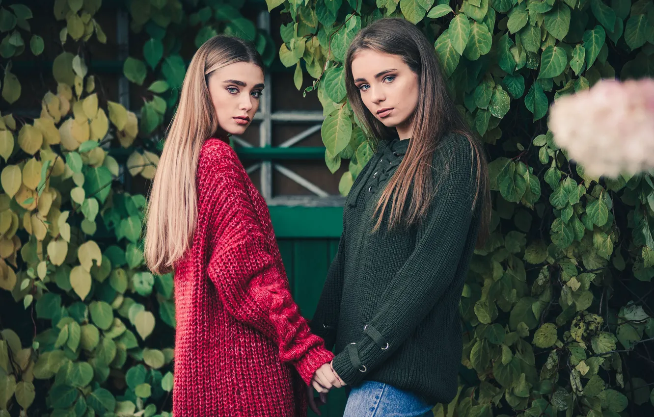 Photo wallpaper leaves, two girls, friend, Konstantin Kokin