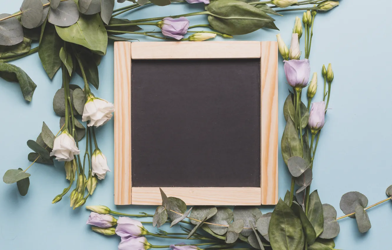 Photo wallpaper flowers, Board, spring, buds, wood, flowers, spring, decoration