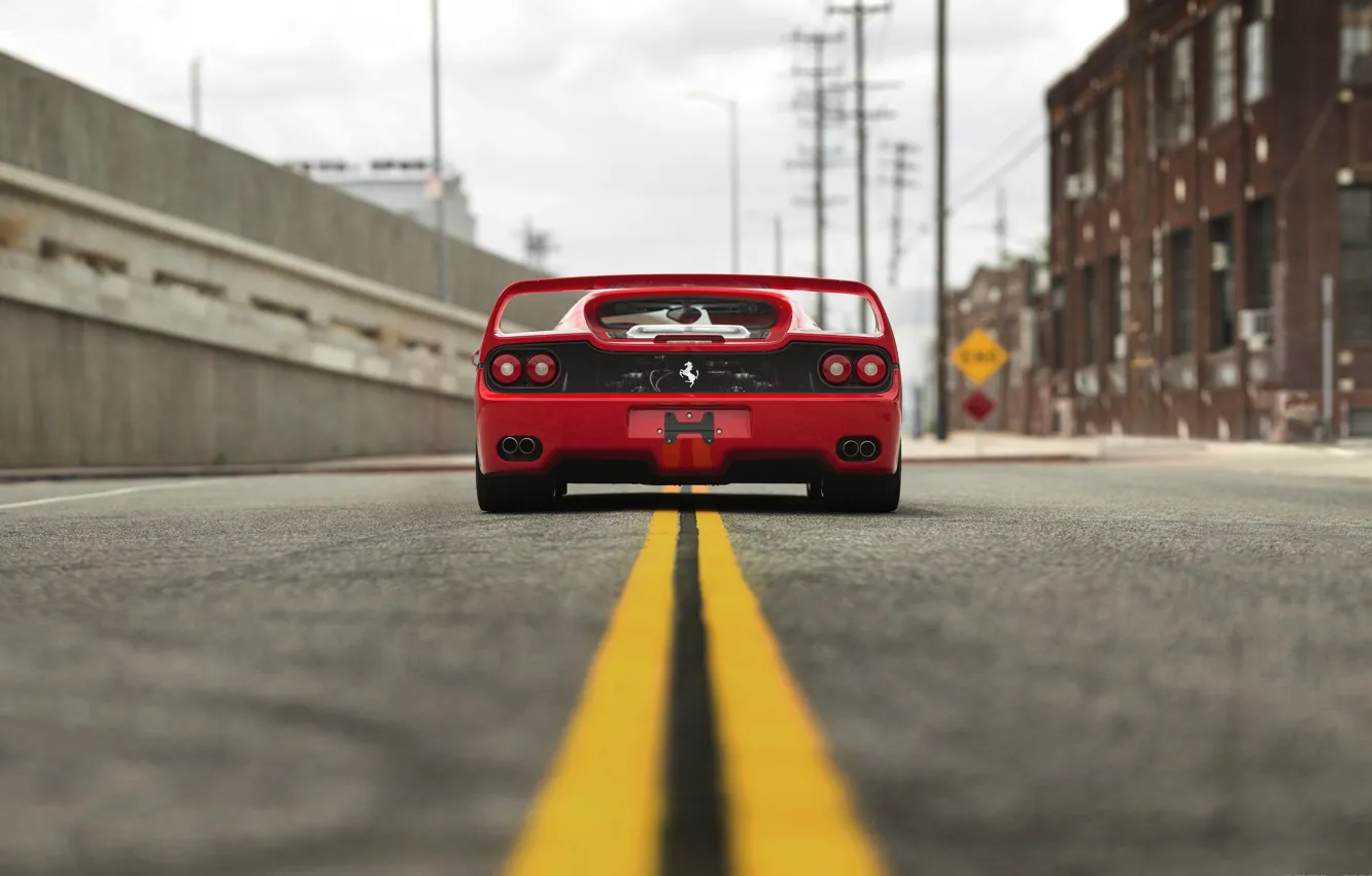 Photo wallpaper Ferrari, Rear view, F50