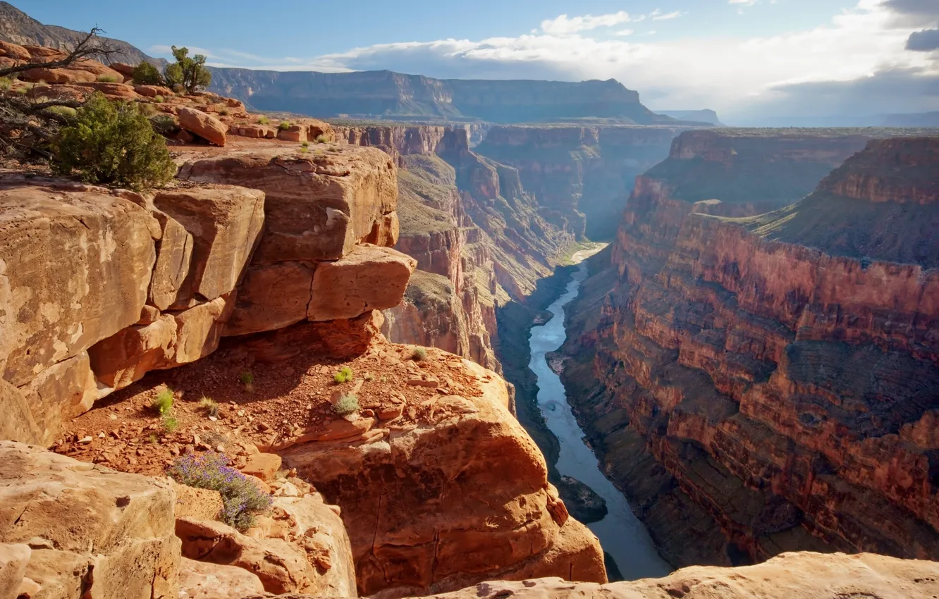 Photo wallpaper United States, Grand Canyon, River