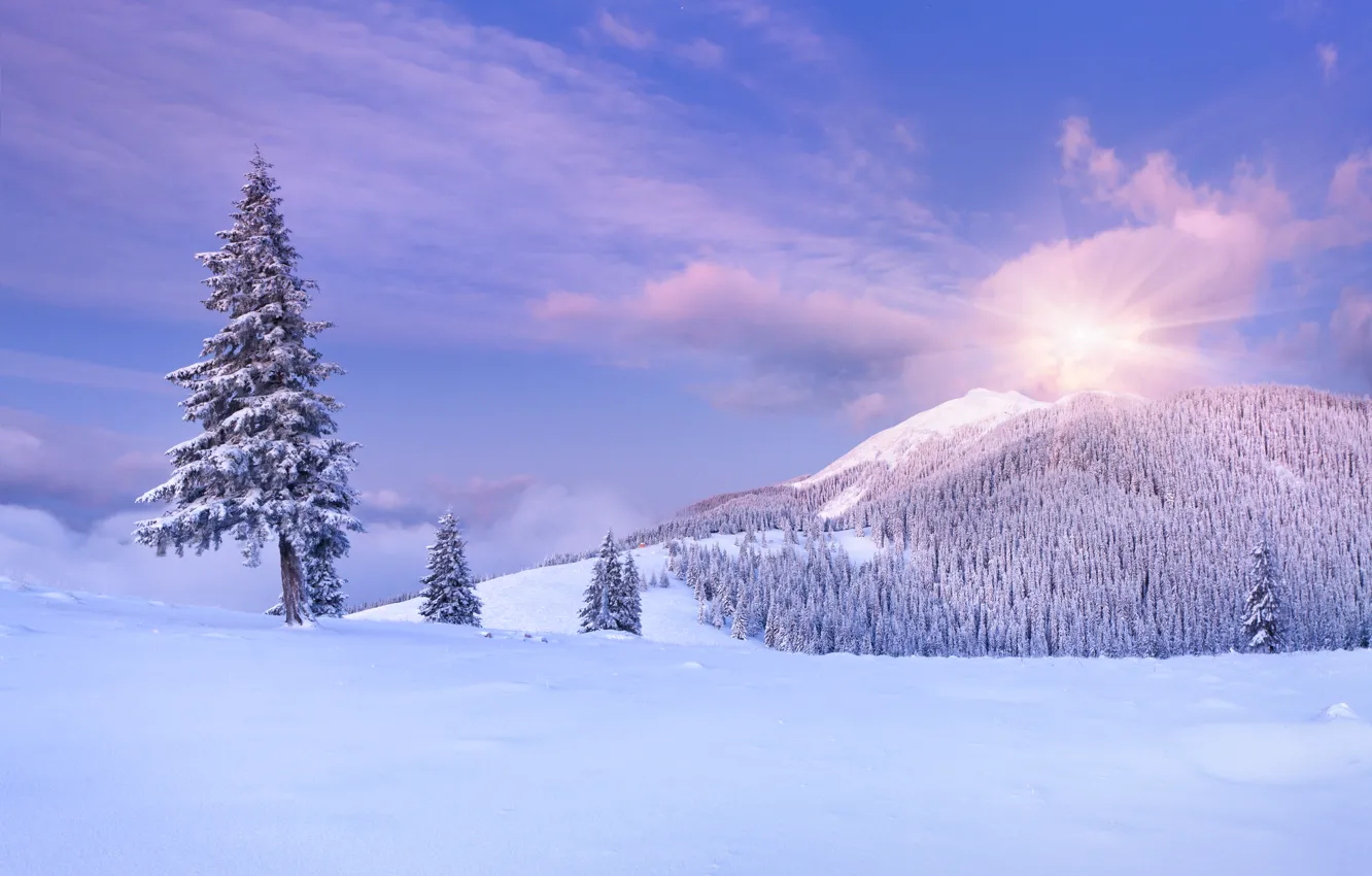 Photo wallpaper winter, the sky, clouds, snow, trees, landscape, mountains, nature