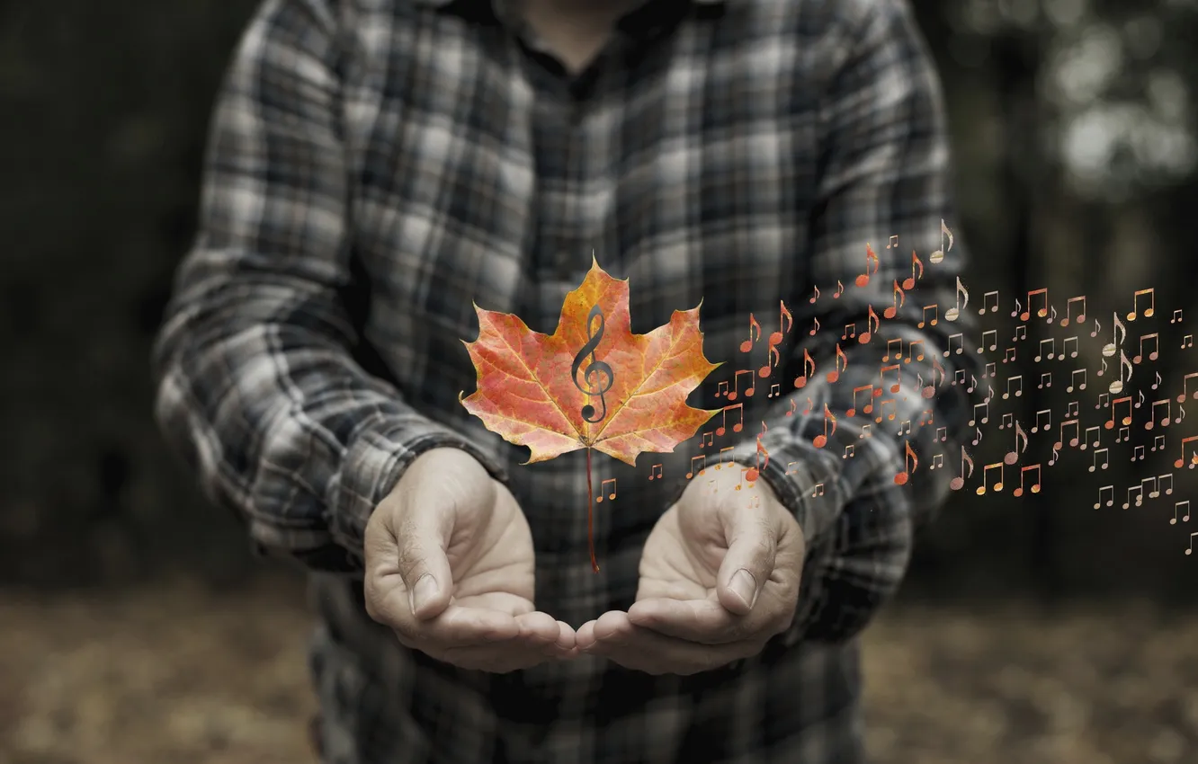 Photo wallpaper leaves, music, people