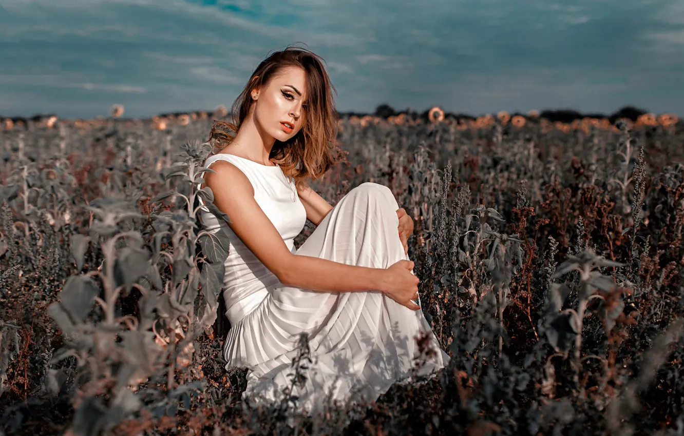 Photo wallpaper makeup, sponge, curls, Damian Feather