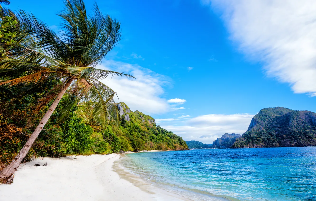 Photo wallpaper sand, sea, beach, trees, mountains, palm trees, rocks, coast