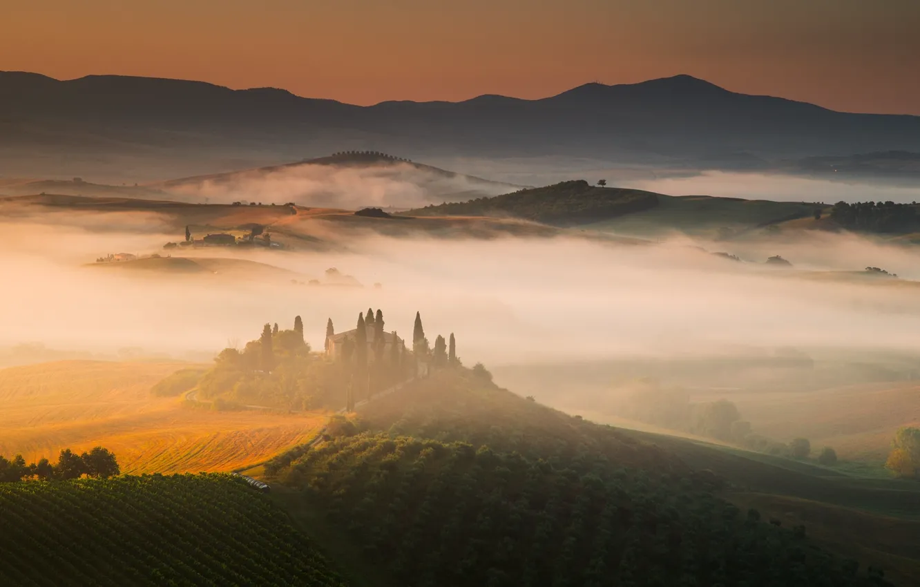 Photo wallpaper fog, sunrise, hills, field, home, morning, Italy, the vineyards