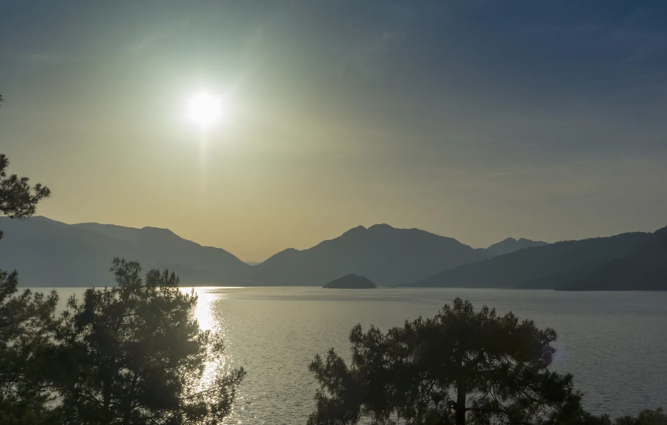 Photo wallpaper sea, mountains, dawn, pine