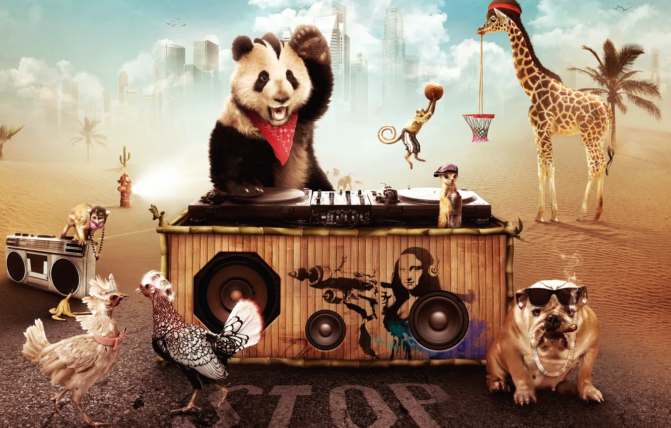 Photo wallpaper giraffe, Panda, dog with a cigar
