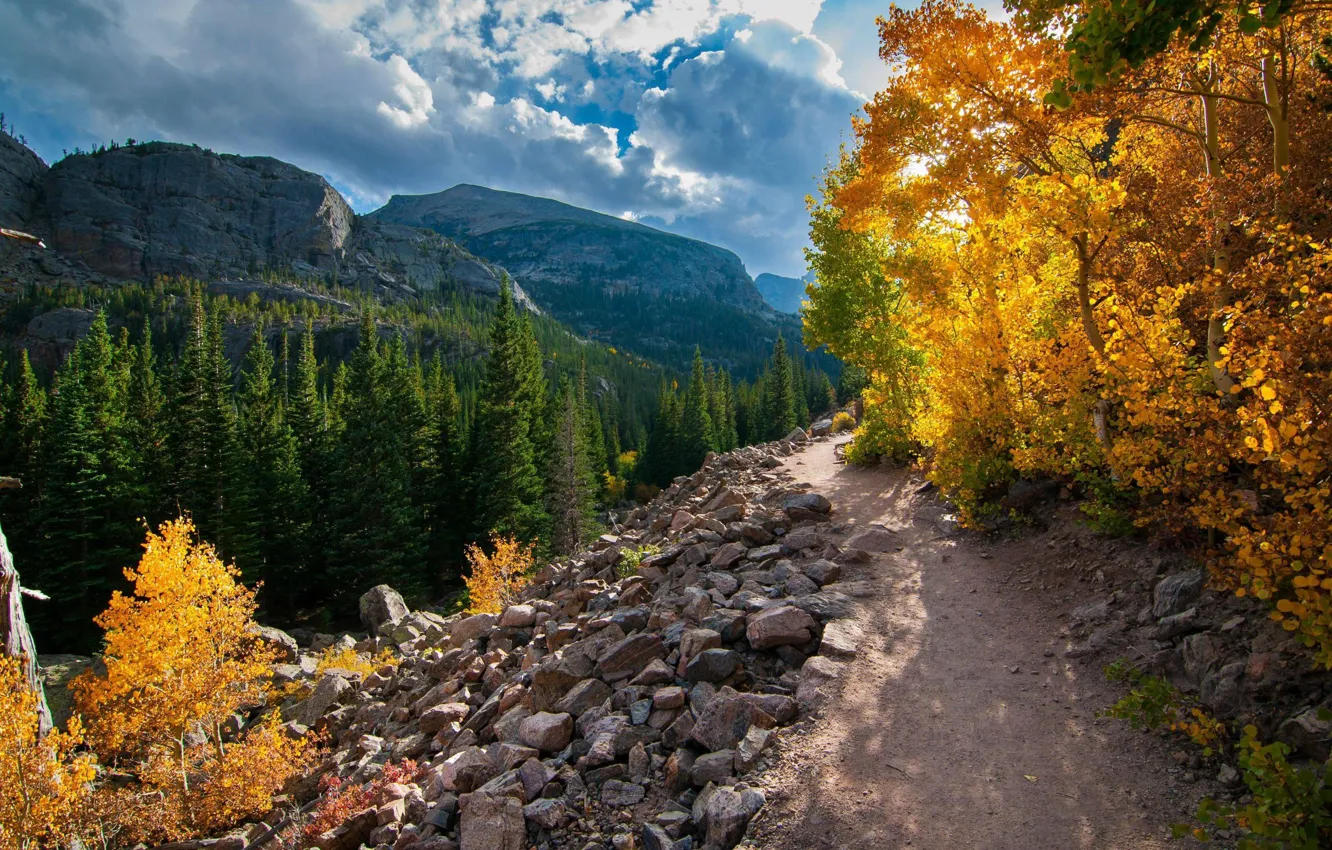 Photo wallpaper autumn, forest, landscape, mountains, nature, track, USA, path