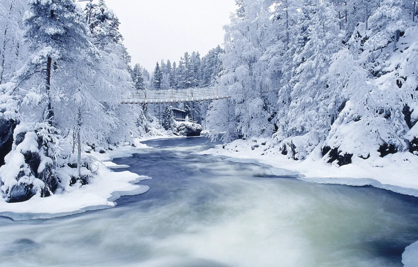 Photo wallpaper winter, frost, snow, trees, bridge, river
