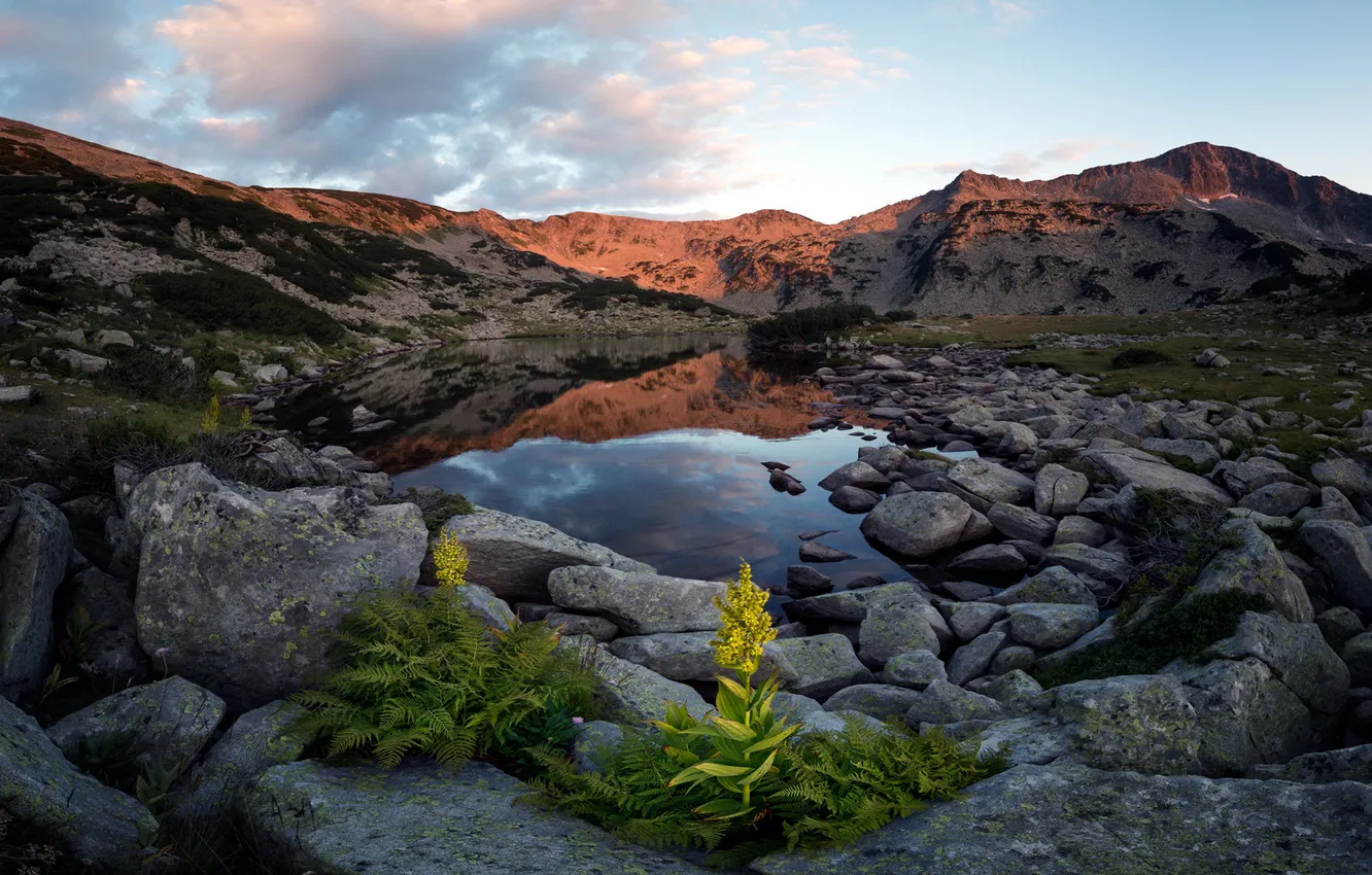 Photo wallpaper mountains, lake, morning