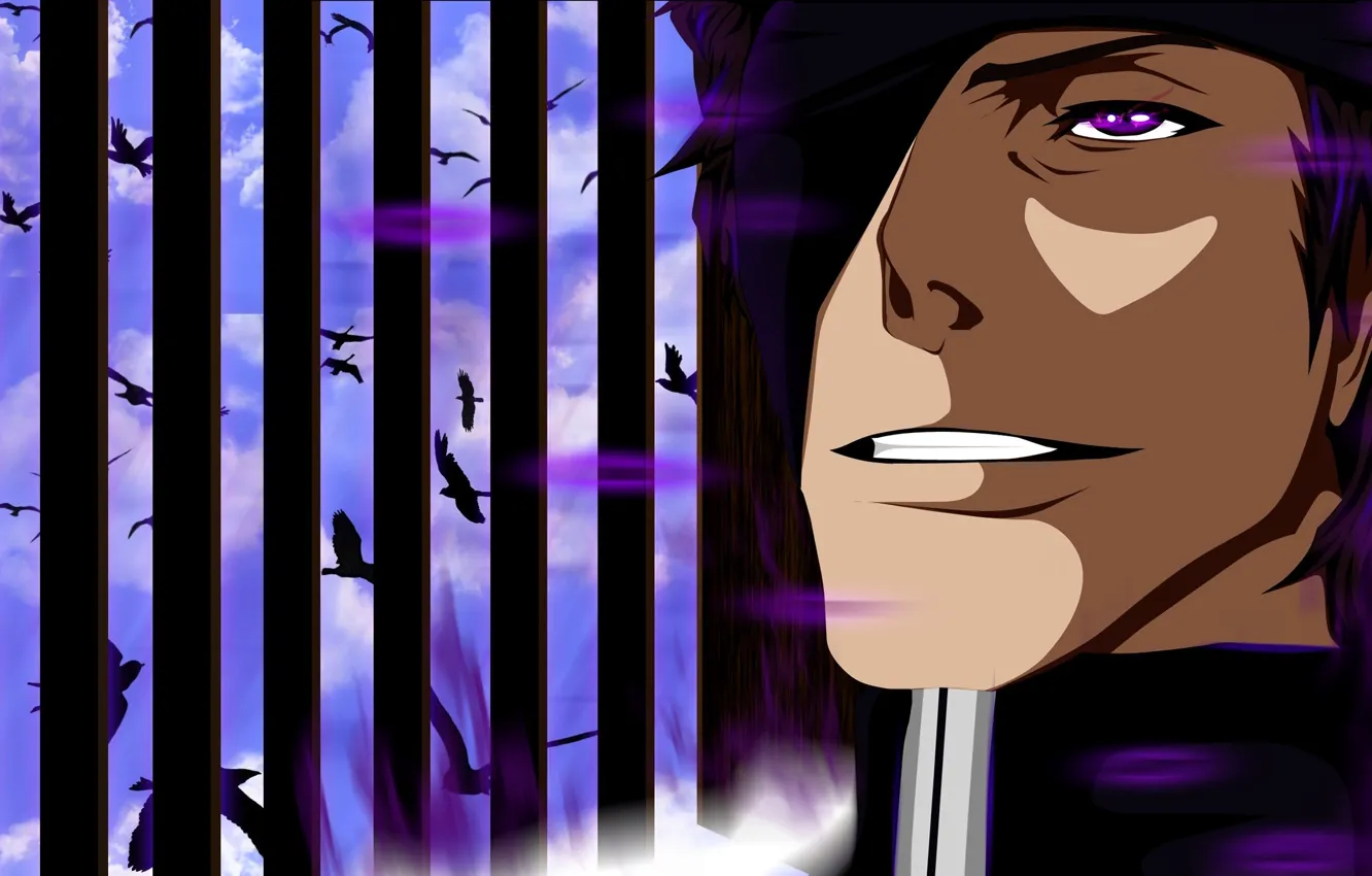 Photo wallpaper game, Bleach, anime, birds, man, face, captain, evil