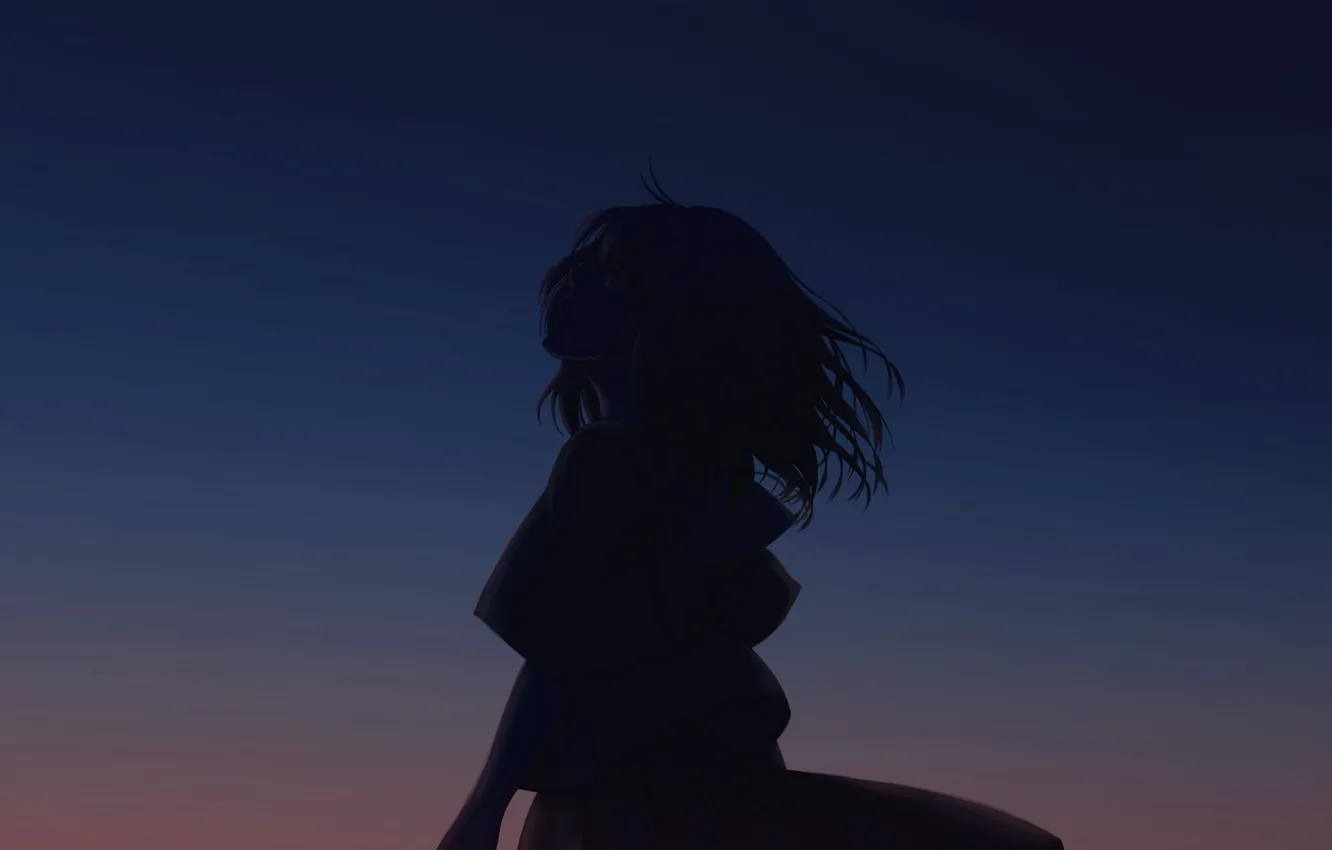 Photo wallpaper the sky, girl, silhouette, twilight, by Nengoro