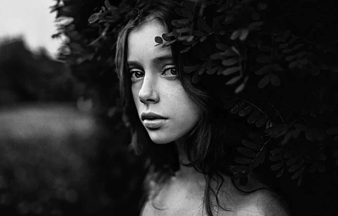 Photo wallpaper look, leaves, girl, face, style, black and white, sweetheart, model